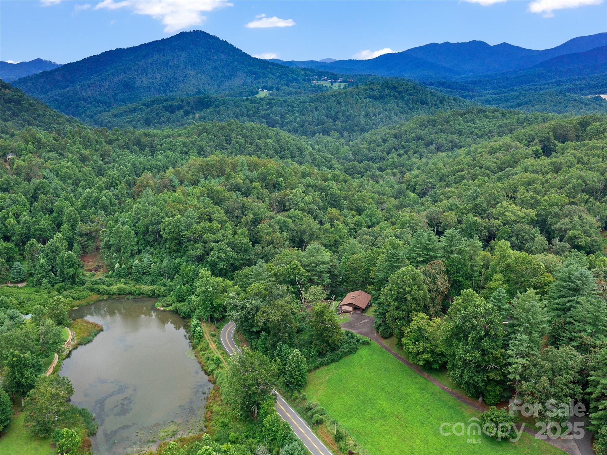 59 Deer Place Road Spruce Pine, NC 28777 - Photo 38 of 40 a view of a lush green hillside and a houses