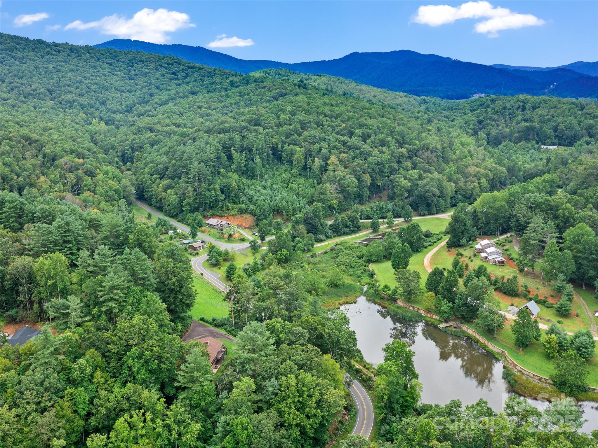 59 Deer Place Road Spruce Pine, NC 28777 - Photo 40 of 40 a view of a lush green forest with a houses