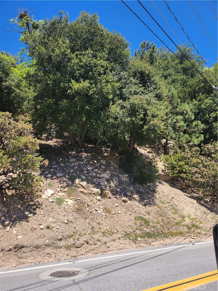 1187 Brentwood Drive Lake Arrowhead, CA 92352 - Photo 1 of 2 a view of a yard with wooden fence