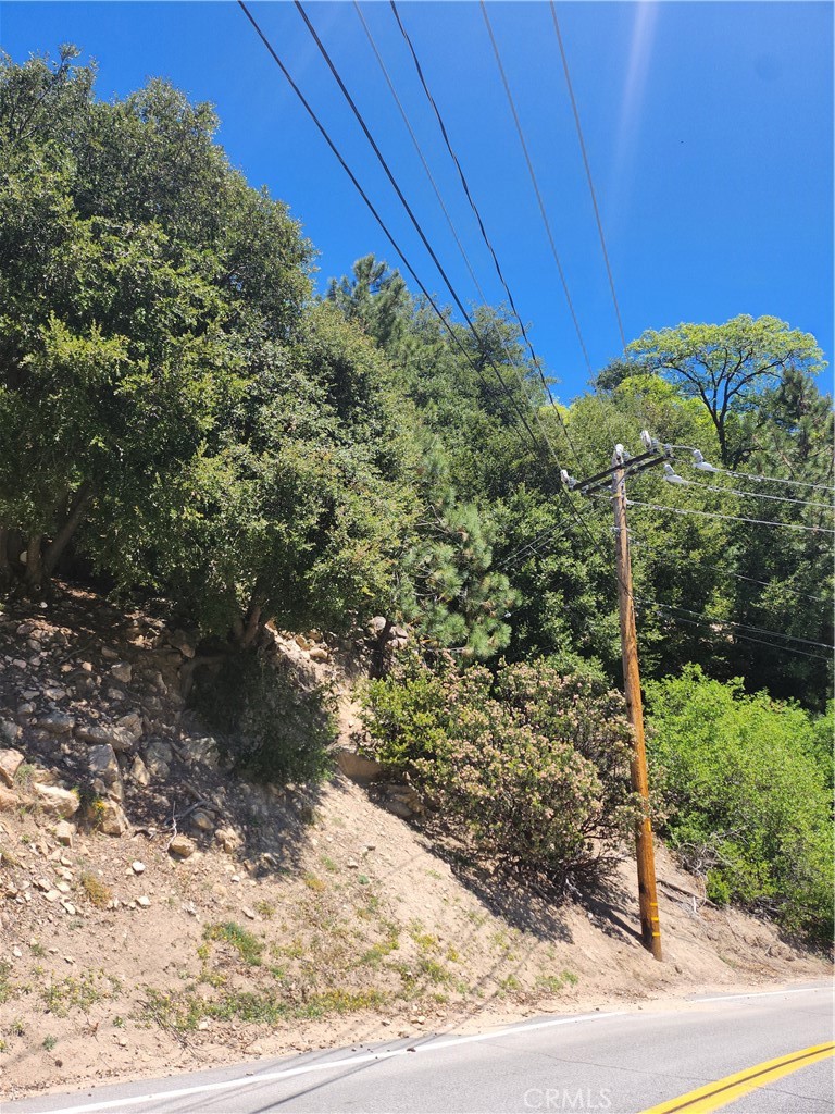 1187 Brentwood Drive Lake Arrowhead, CA 92352 - Photo 2 of 2 a view of a backyard