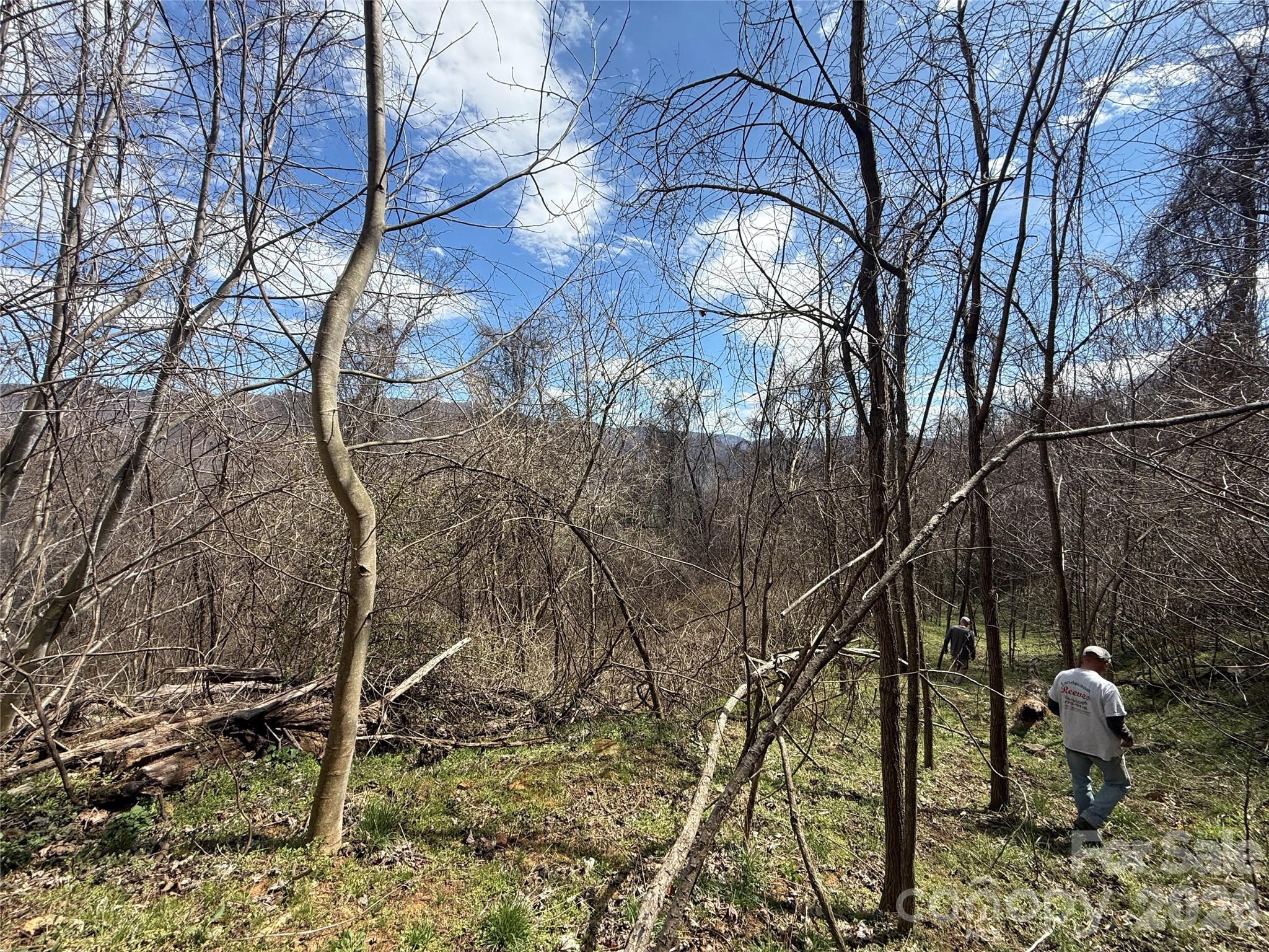 0 Caldwell Mountain Road Hot Springs, NC 28743 - Photo 21 of 33 a view of a yard