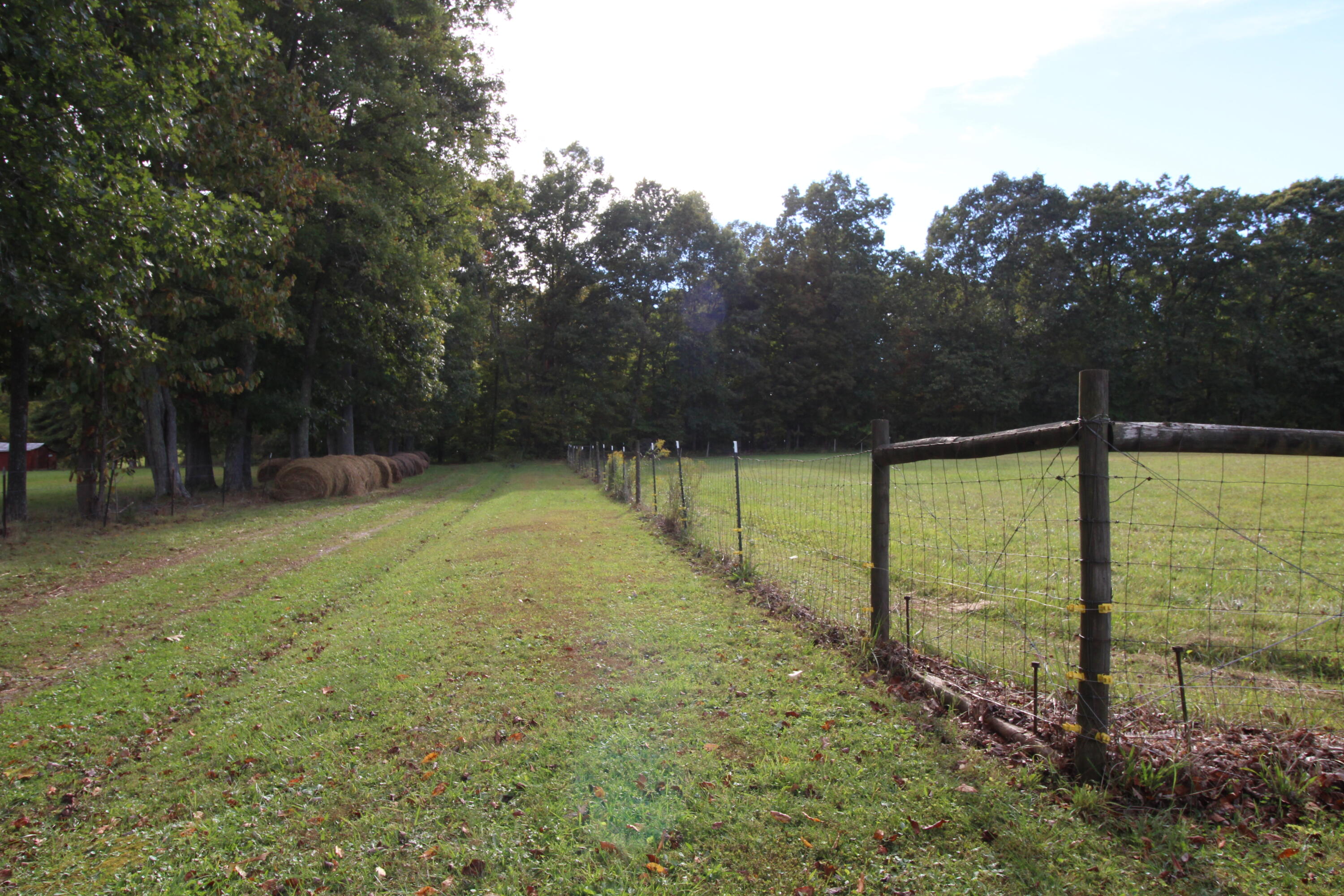 96 Ranchero Road Wayside, WV 24985 - Photo 20 of 45 Gallery Image 20