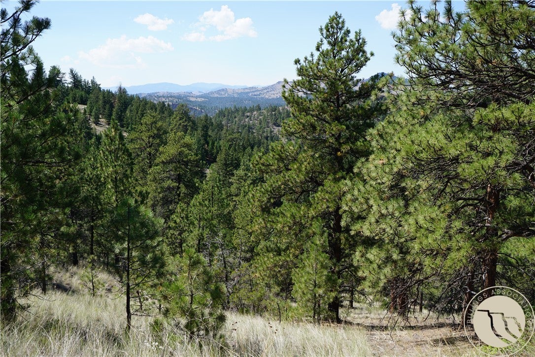 Tbd Ridge Crest Lane Cascade, MT 59421 - Photo 14 of 26 Gallery Image 14
