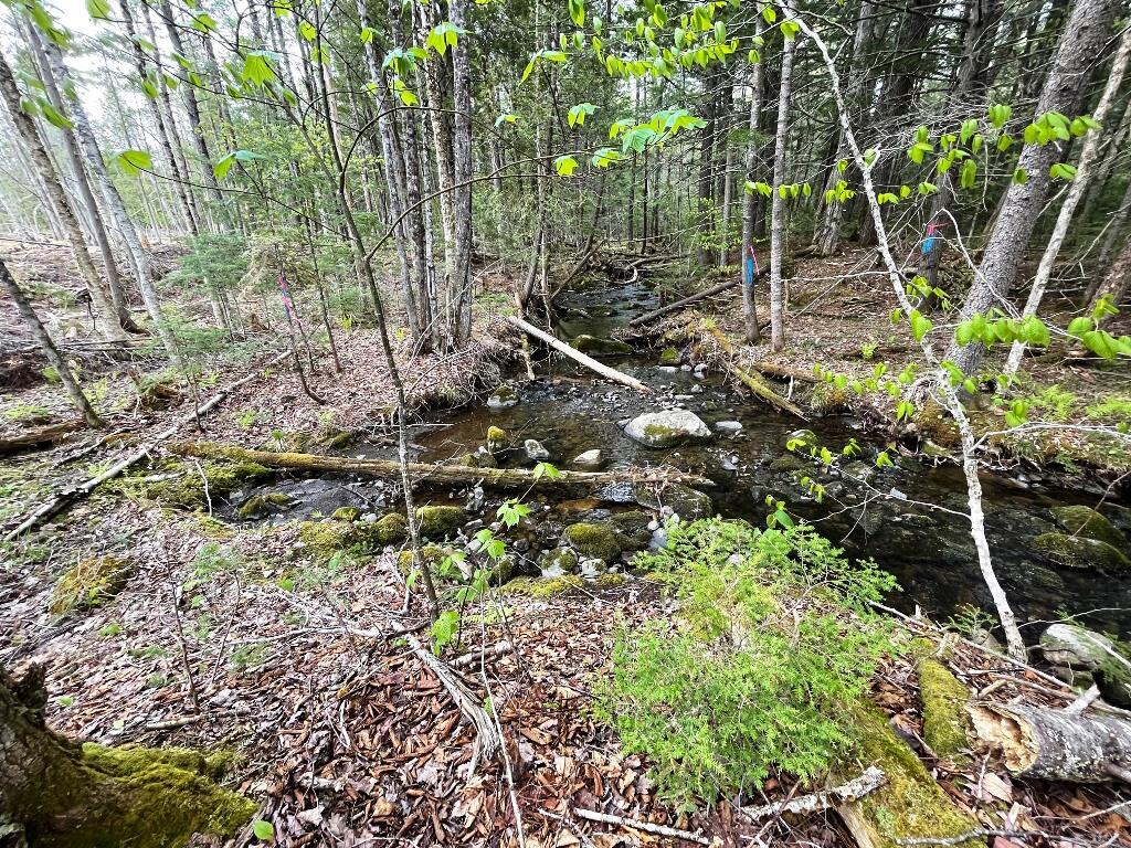 Lot #7 Hammond Brook Road Monson, ME 04464 - Photo 11 of 16