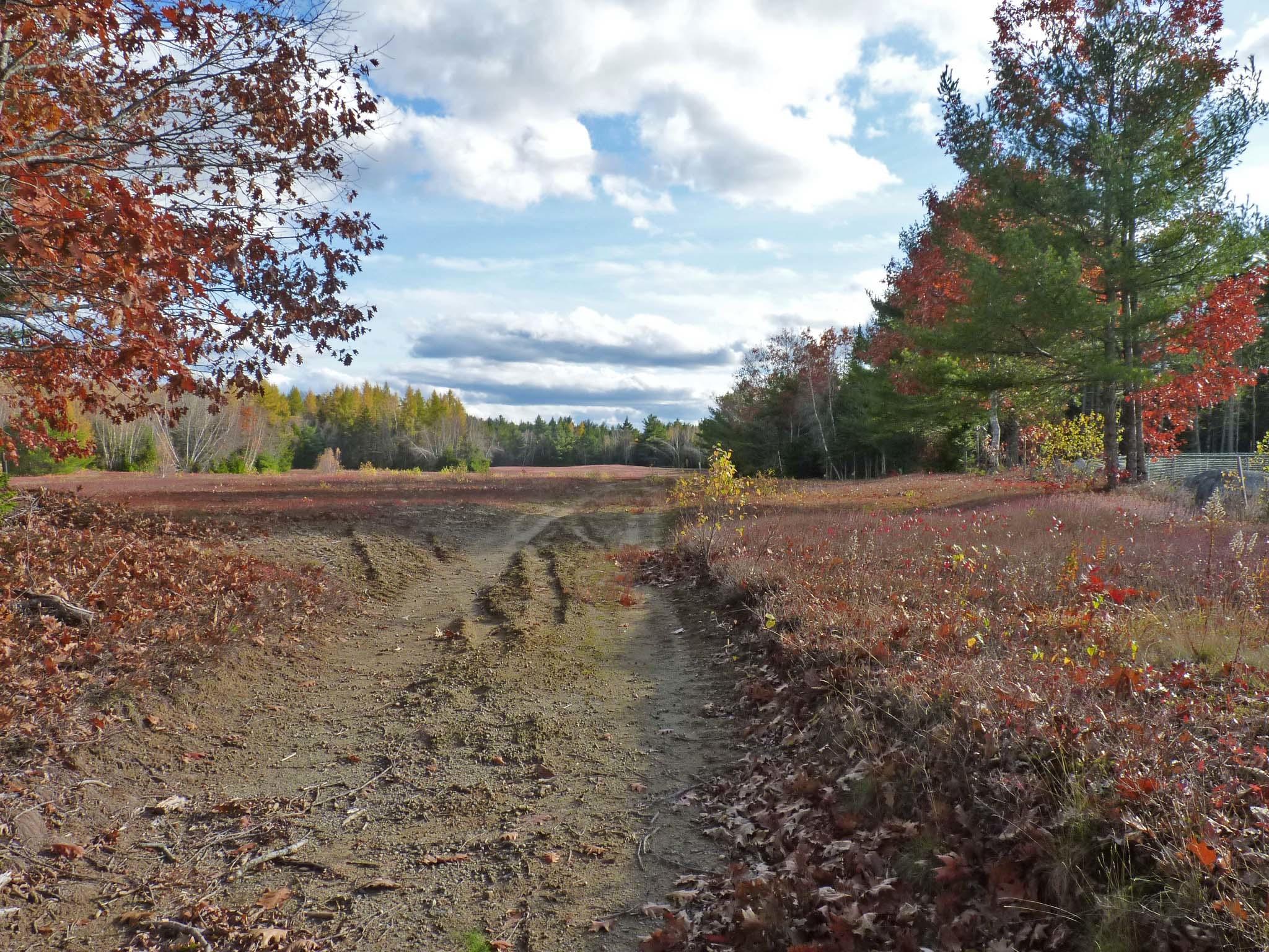 0 Pyle Road Ellsworth, ME 04605 - Photo 11 of 18 2c