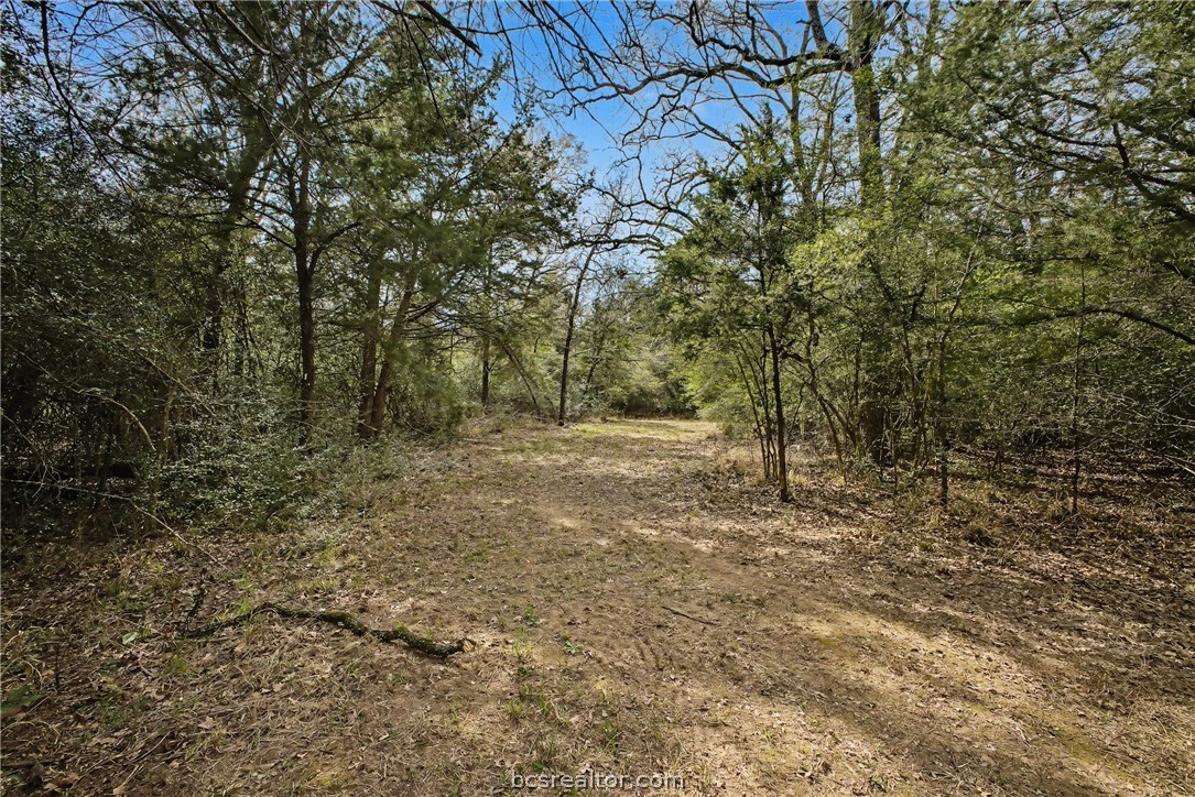 Tbd Sawmill Road Franklin, TX 77856 - Photo 5 of 15 a view of outdoor space and yard