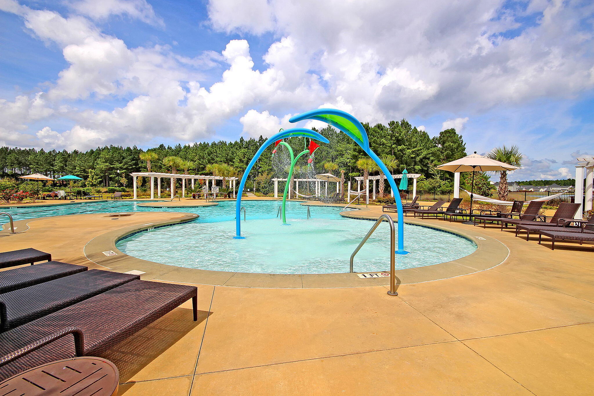 214 Squire Pope Road Summerville, SC 29486 - Photo 11 of 93 10 copy