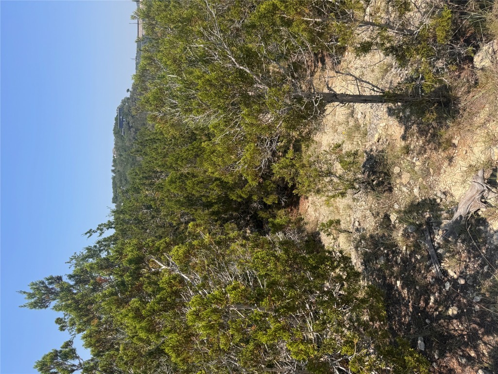 2506 Geronimo Trail Austin, TX 78734 - Photo 11 of 22 a view of a yard with a tree