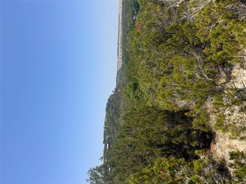 2506 Geronimo Trail Austin, TX 78734 - Photo 12 of 22 a view of a bunch of trees and bushes