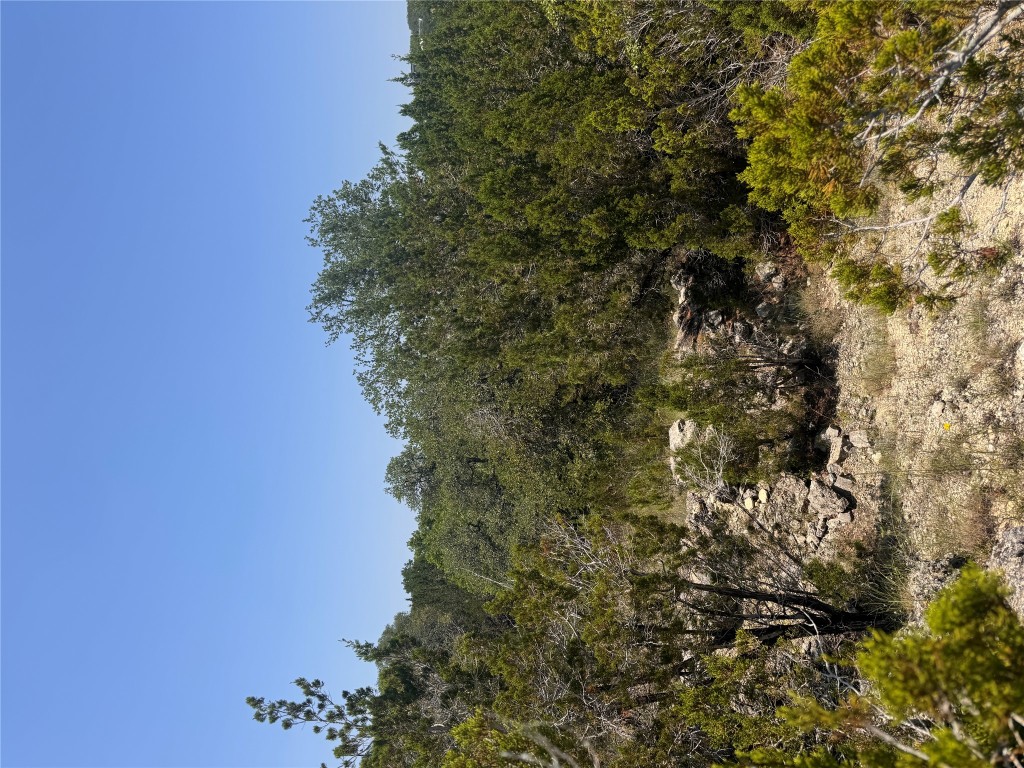 2506 Geronimo Trail Austin, TX 78734 - Photo 15 of 22 a view of a yard