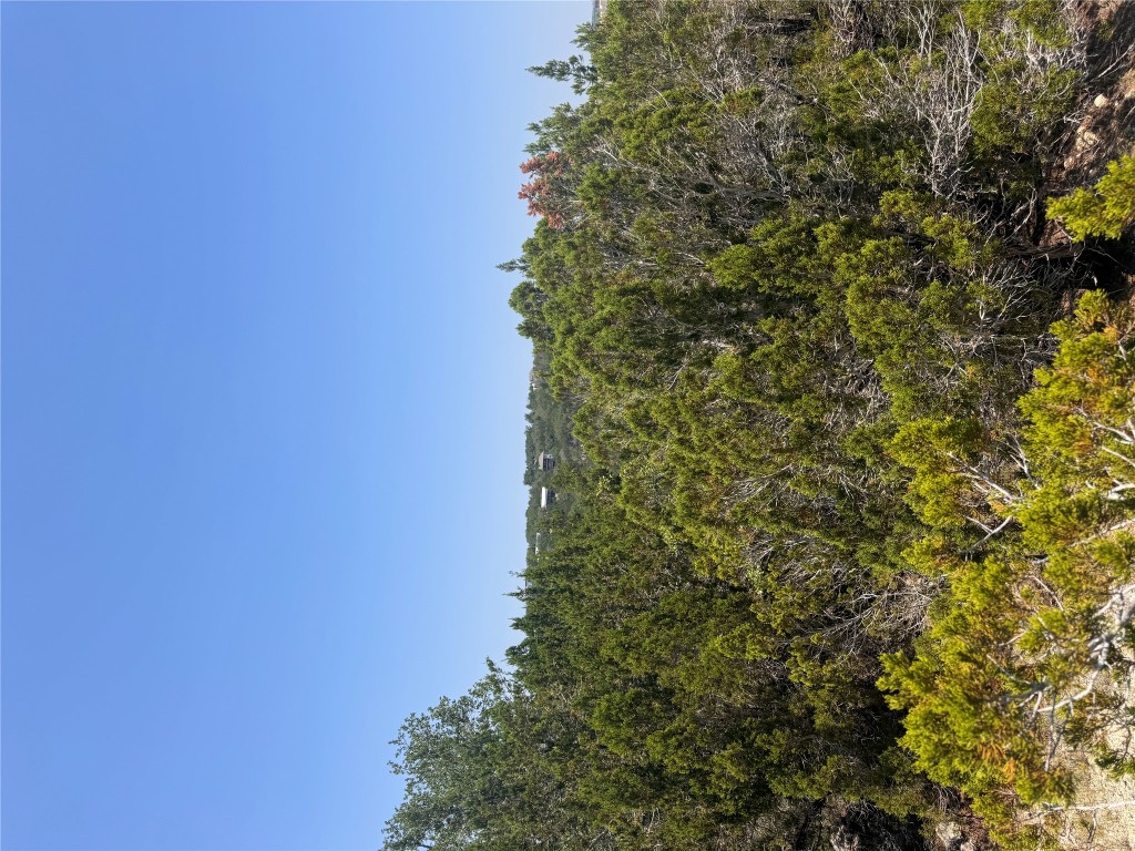 2506 Geronimo Trail Austin, TX 78734 - Photo 16 of 22 a view of a city with lush green forest