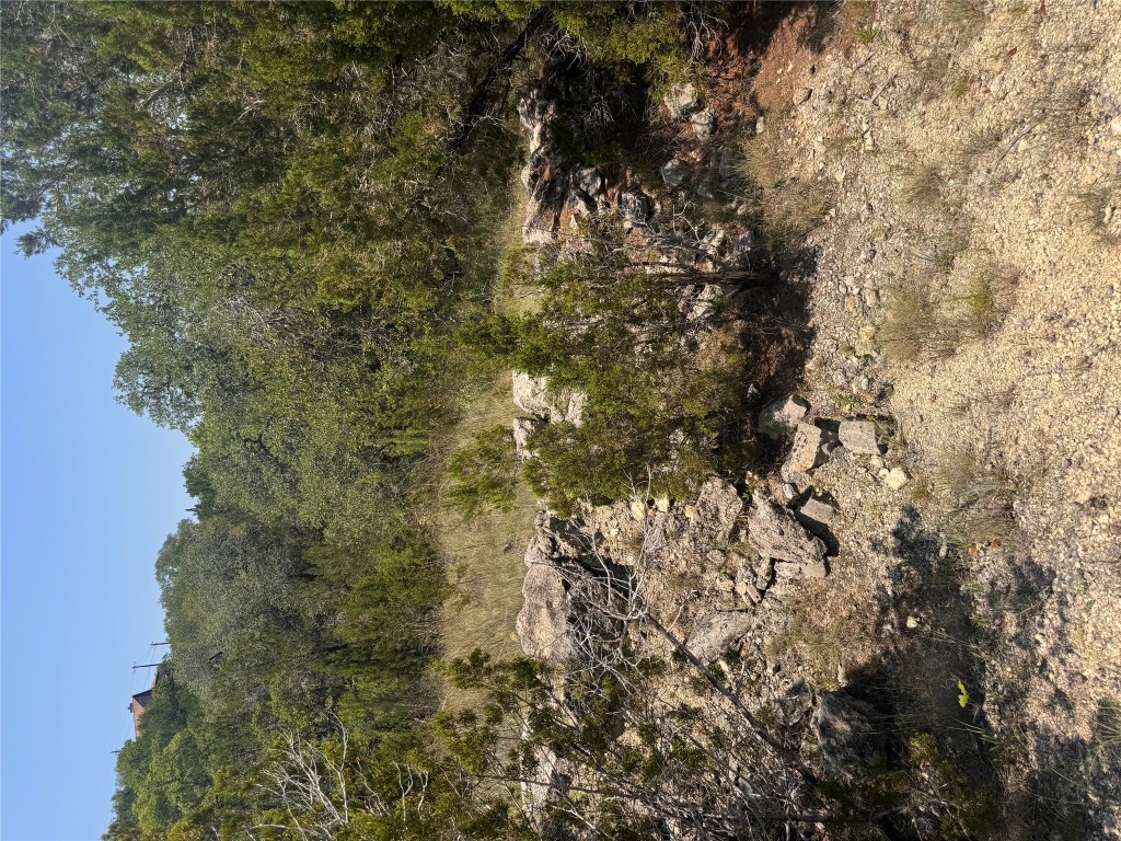 2506 Geronimo Trail Austin, TX 78734 - Photo 21 of 22 a view of a yard with trees