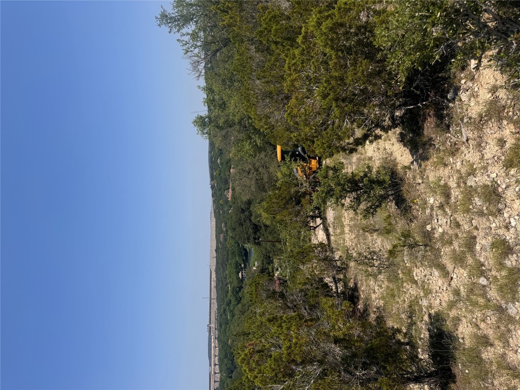 2506 Geronimo Trail Austin, TX 78734 - Photo 5 of 22 a view of a yard with a tree