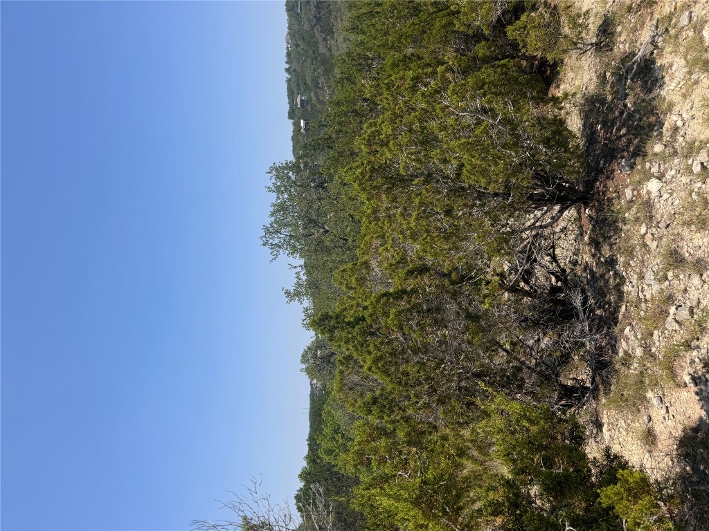 2506 Geronimo Trail Austin, TX 78734 - Photo 6 of 22 a view of a field with a tree in the background
