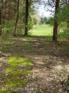 2613 Dawson Ridge Road La Grange, KY 40031 - Photo 42 of 52 1