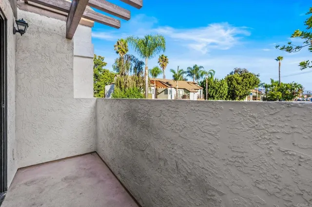 a view of a garden with plants
