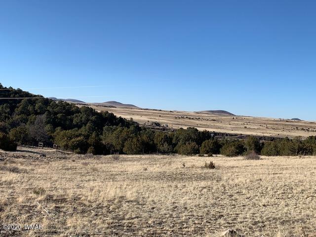 Tbd Tbd Big Lake Road Eagar, AZ 85925 - Photo 1 of 10