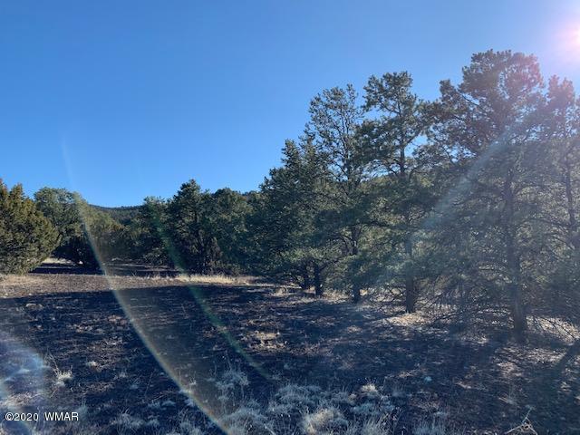 Tbd Tbd Big Lake Road Eagar, AZ 85925 - Photo 3 of 10