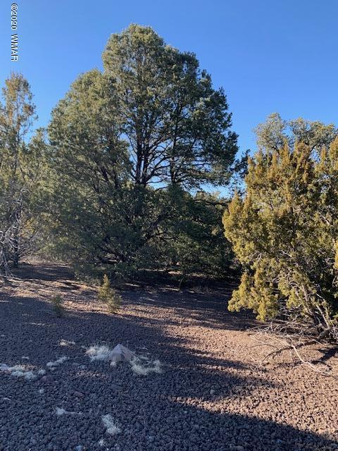 Tbd Tbd Big Lake Road Eagar, AZ 85925 - Photo 4 of 10