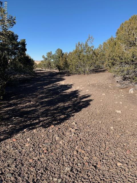 Tbd Tbd Big Lake Road Eagar, AZ 85925 - Photo 5 of 10