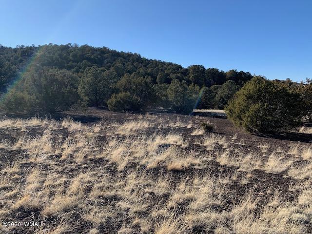 Tbd Tbd Big Lake Road Eagar, AZ 85925 - Photo 6 of 10