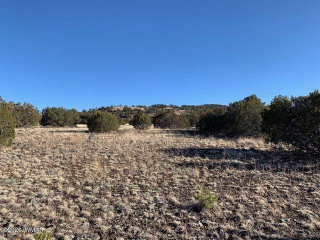 Tbd Tbd Big Lake Road Eagar, AZ 85925 - Photo 8 of 10