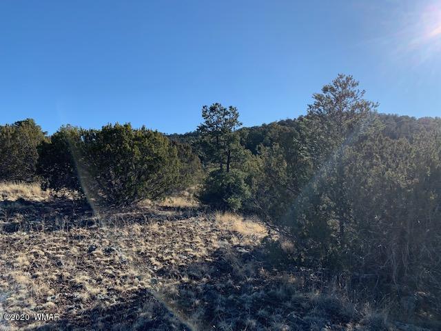 Tbd Tbd Big Lake Road Eagar, AZ 85925 - Photo 9 of 10