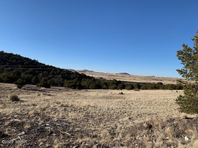 Tbd Tbd Big Lake Road Eagar, AZ 85925 - Photo 10 of 10