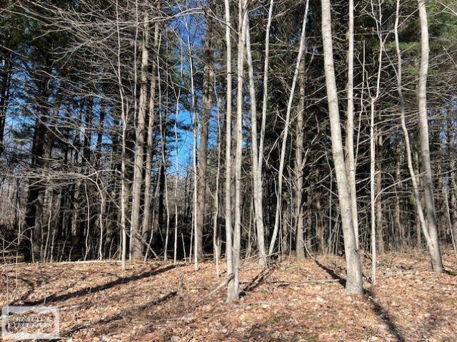 0 Burton Road Capac, MI 48014 - Photo 2 of 10