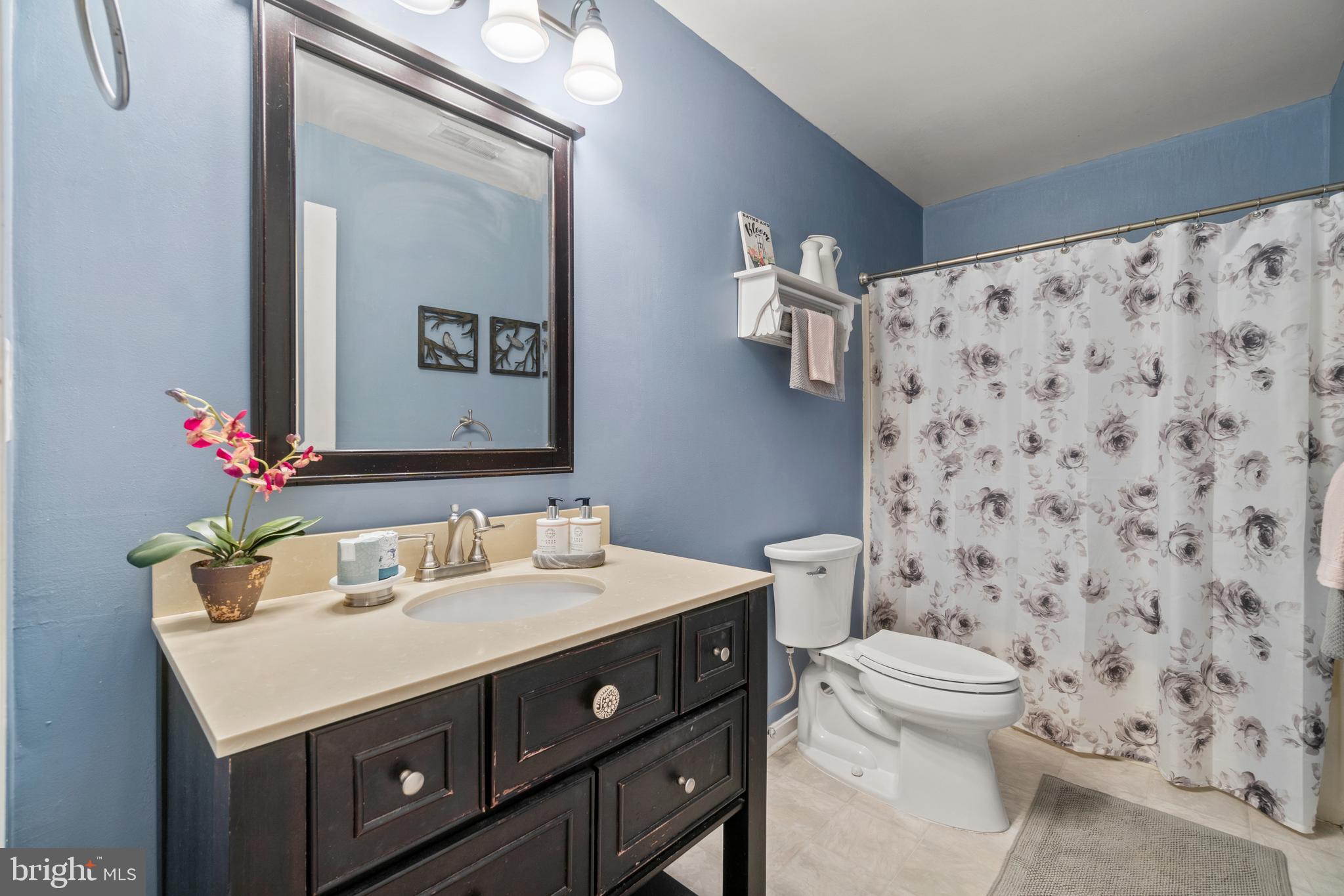 103 Gold Valley Road Locust Grove, VA 22508 - Photo 21 of 32 Upper Level Bath!