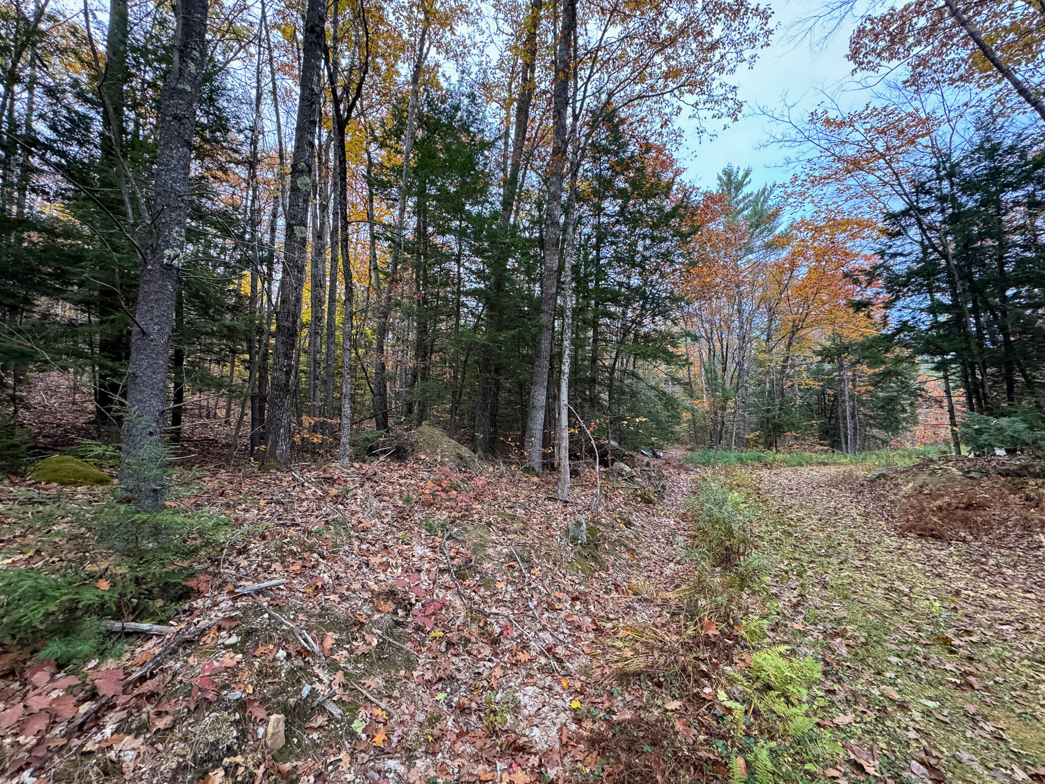 Lot 57 Dodge Road Dresden, ME 04342 - Photo 12 of 13 12
