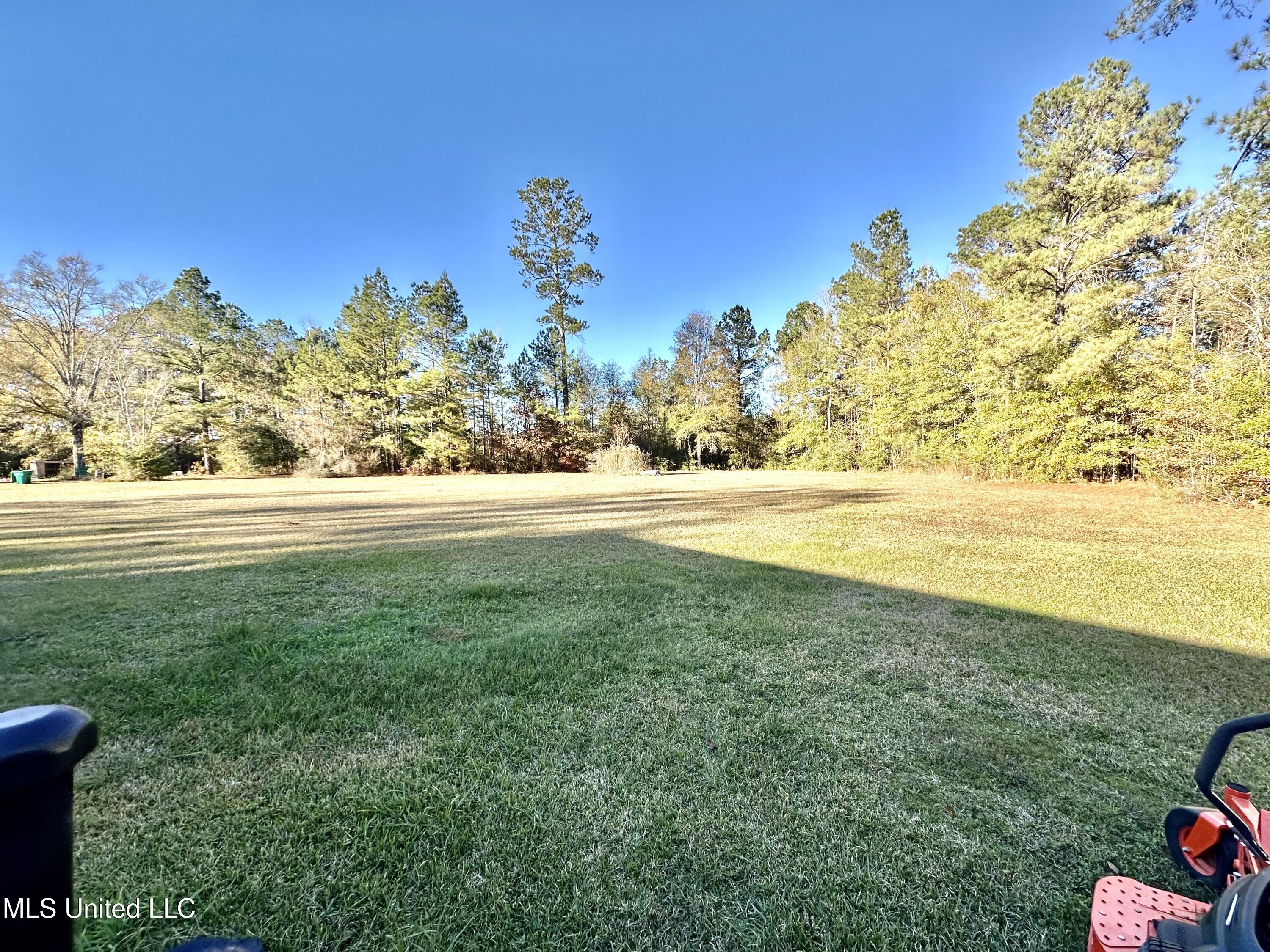 2175 Warren Road Southeast Brookhaven, MS 39601 - Photo 18 of 23 backyard