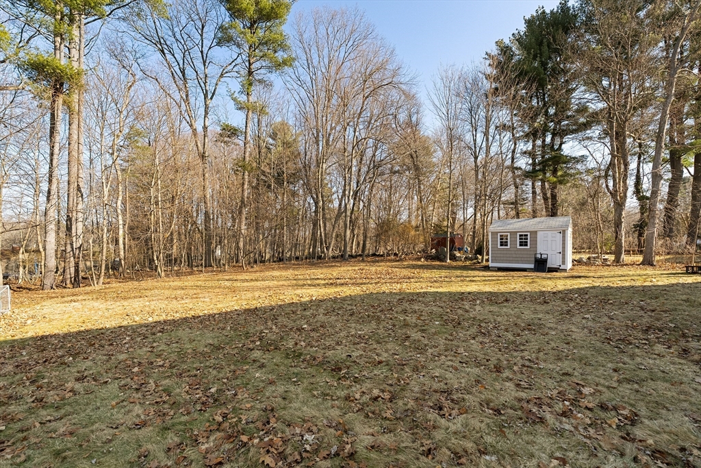 51 Winslow Road Reading, MA 01867 - Photo 34 of 40 a house with trees in front of it