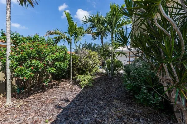 a plant that is in front of a house