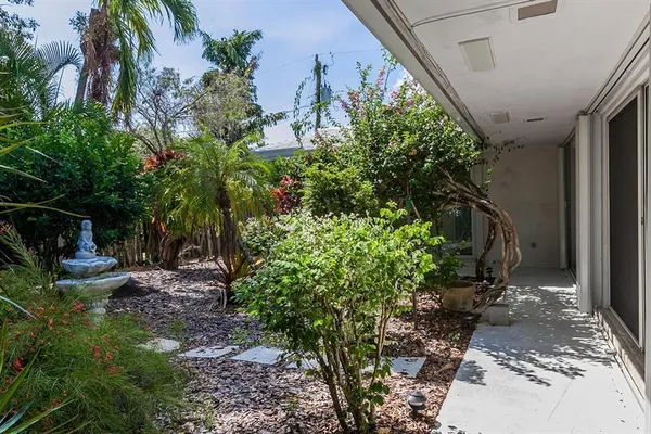 a view of a backyard with plants