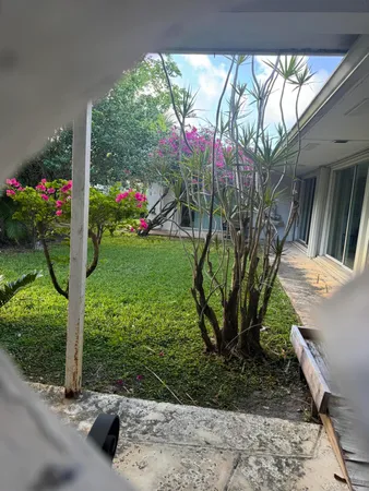 a view of a house with a yard and potted plants