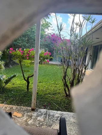 a front view of a house with a yard and potted plants