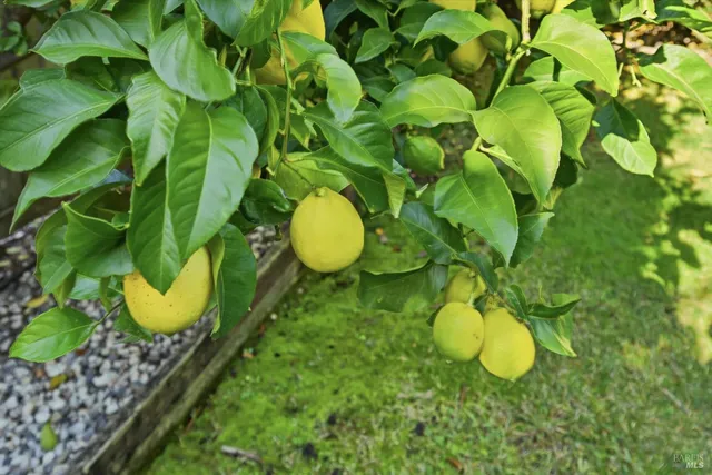 $1,669,000 | 28 South Newport Drive, Napa, CA 94559