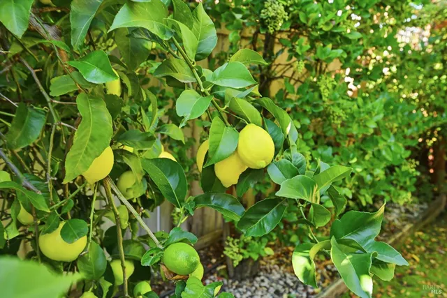 $1,669,000 | 28 South Newport Drive, Napa, CA 94559