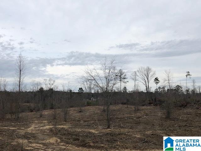 Pine Mountain Road, Unit 2 Springville, AL 35146 - Photo 10 of 16