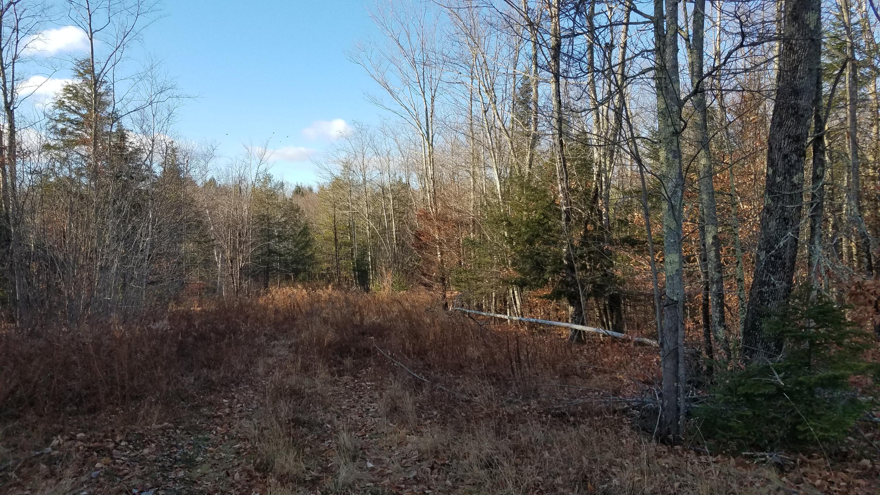 0 South Freedom Road Albion, ME 04910 - Photo 4 of 6 04