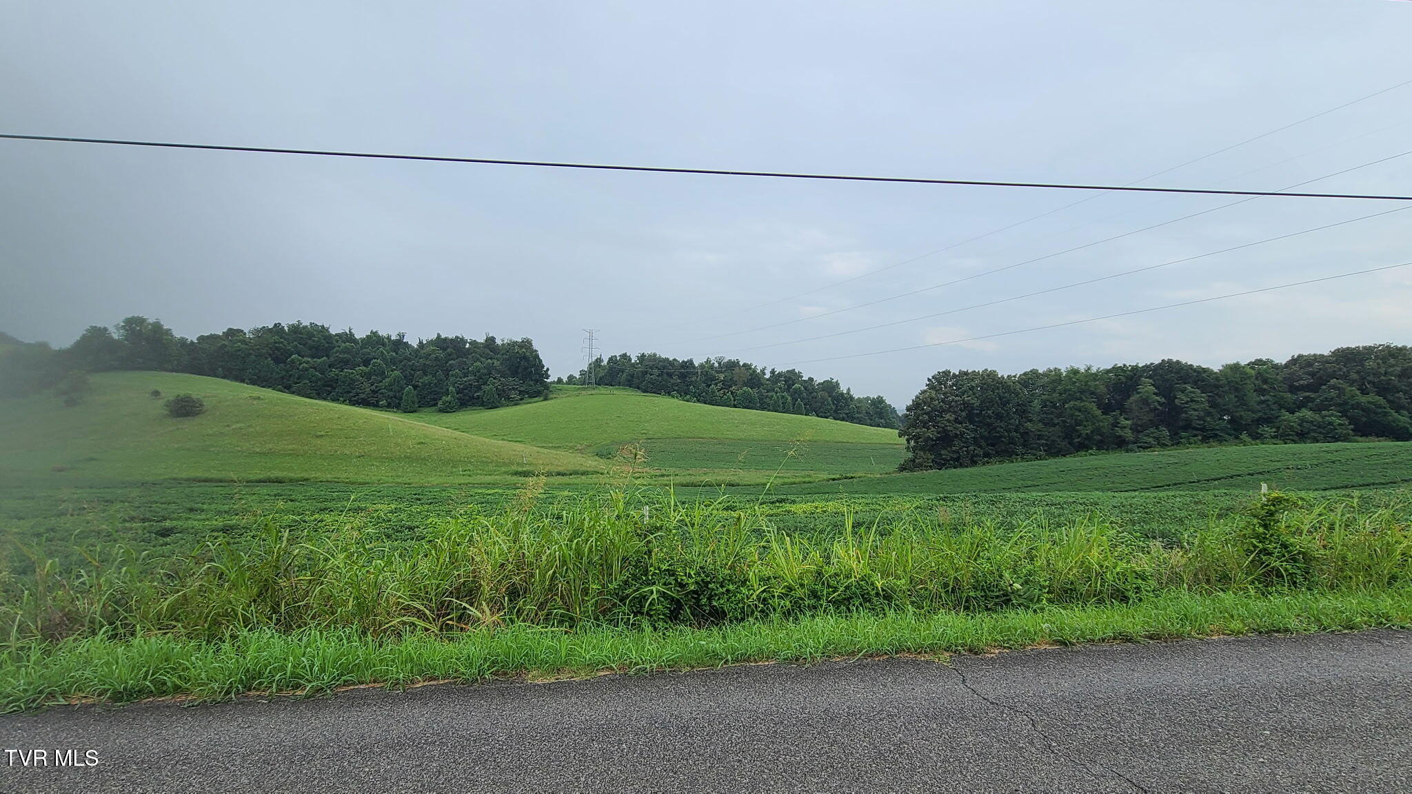 228 Ward Rowe Road Limestone, TN 37681 - Photo 5 of 8 20260728_103550