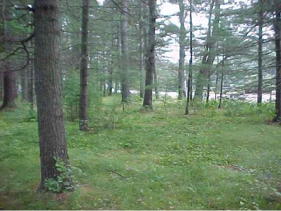 202 Bigelow Road Lebanon, ME 04027 - Photo 1 of 4