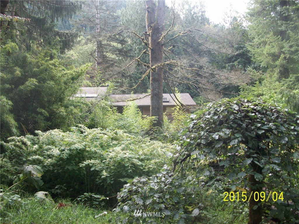 50509 Index-Galena Road Index, WA 98256 - Photo 5 of 15 Gallery Image 5