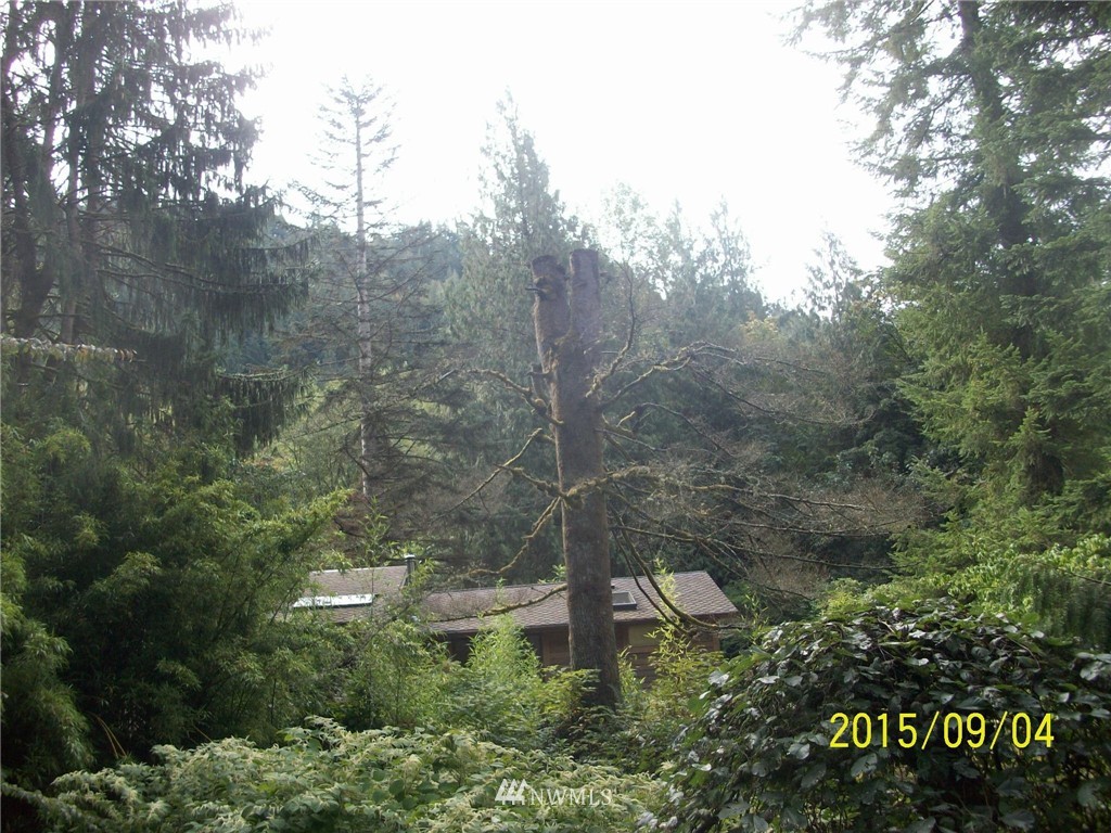 50509 Index-Galena Road Index, WA 98256 - Photo 6 of 15 Gallery Image 6