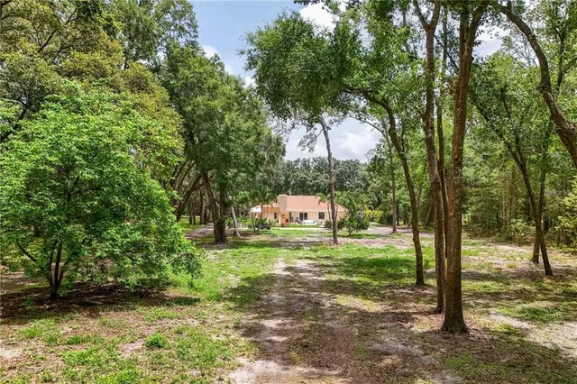 a backyard of a house with yard and trampoline