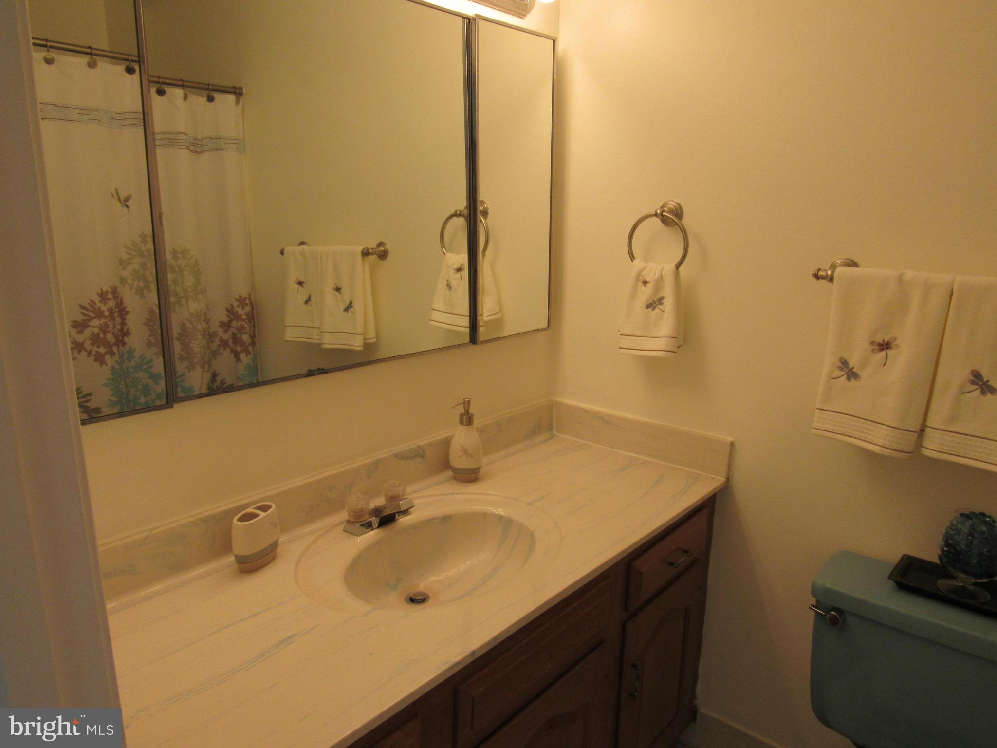6603 Greenview Lane Springfield, VA 22152 - Photo 13 of 29 Bath