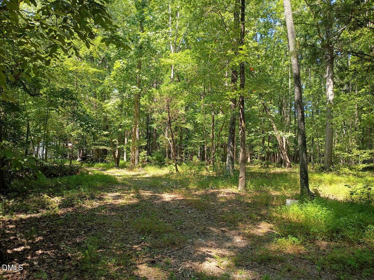 4320 Green Level W Road Apex, NC 27523 - Photo 6 of 27 IMG_20250905_132422332_HDR