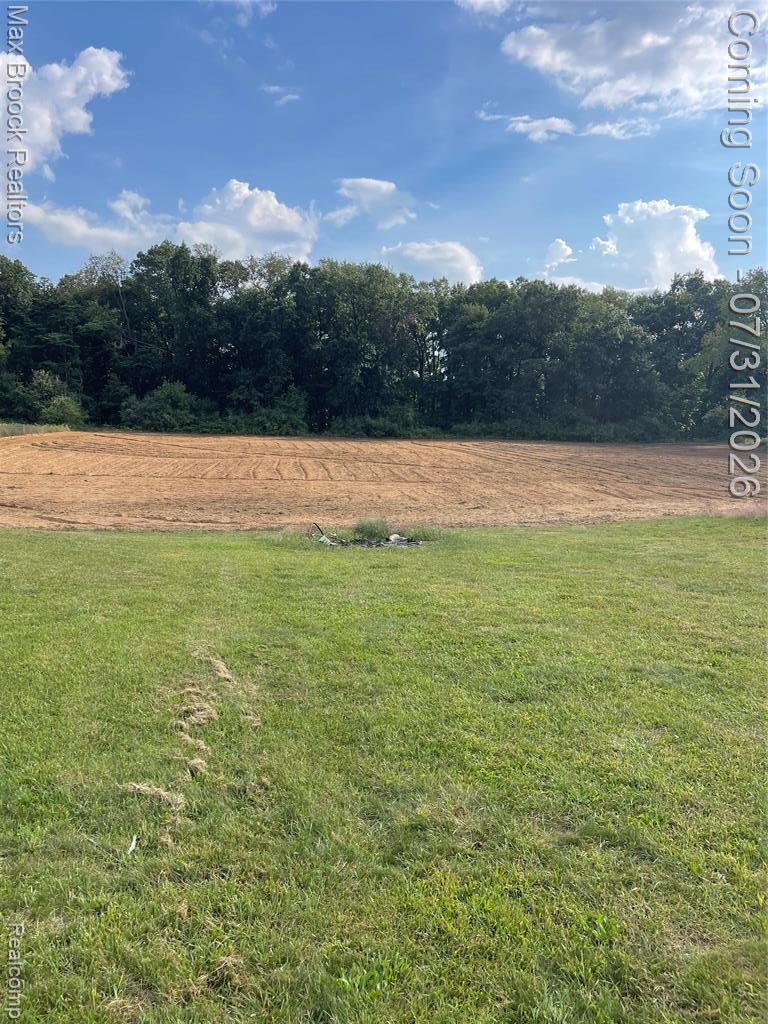 11141 Hannewald Road Munith, MI 49259 - Photo 50 of 57 Gallery Image 50