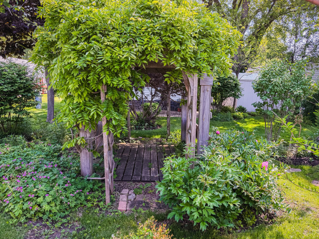 38569 North Sheridan Road, Unit 390 Beach Park, IL 60099 - Photo 21 of 28 a tree in a garden with plants